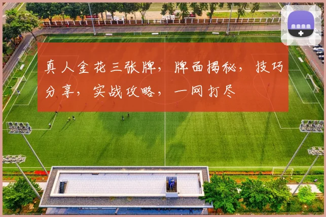 真人金花三张牌，牌面揭秘，技巧分享，实战攻略，一网打尽