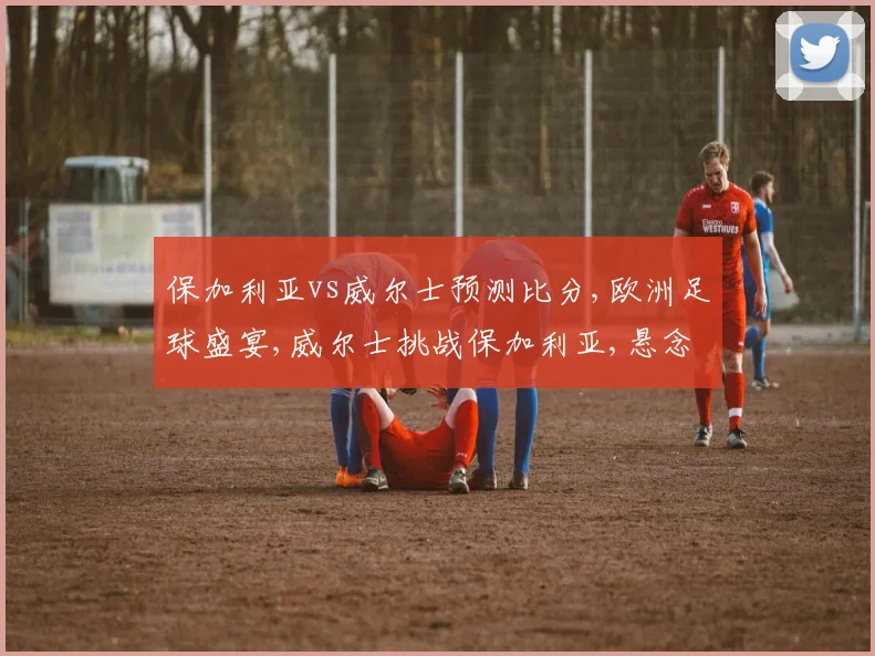保加利亚vs威尔士预测比分,欧洲足球盛宴,威尔士挑战保加利亚,悬念迭起
